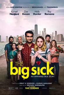 The Big Sick (2017) movie poster